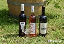 Domaine des Albizzias景点图片