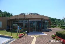 Hidaka Port New Energy Park - EE Park景点图片