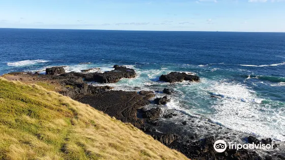 Southpoint Lookout