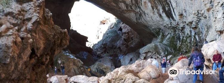 972623769