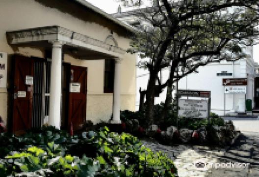 Warrior Toy Museum景点图片