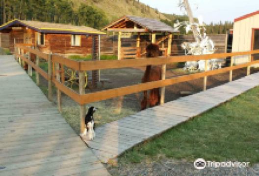 Caribou Crossing Trading Post景点图片