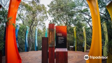 Ngilgi Cave Ancient Lands Experience