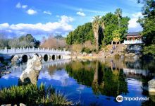 Nurragingy Reserve景点图片