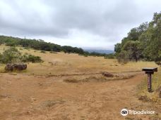 安娜德尔州立公园-圣罗莎