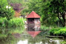 Vogelpark Niendorf-蒂门多尔费尔斯特兰德