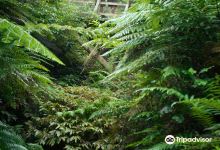 芒格陶塔伊山生态保护区景点图片
