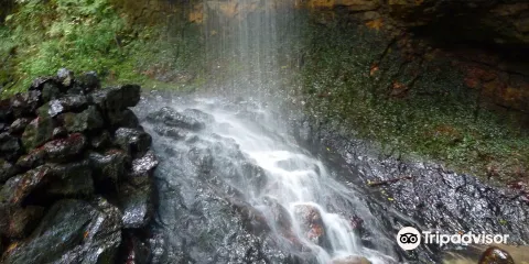 Nijigataki Fall