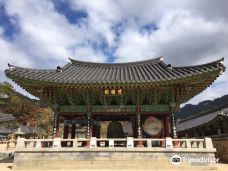 俗离山国立公园法住寺-报恩郡