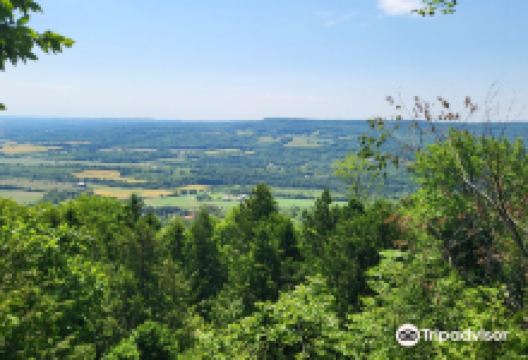 Petun Conservation Area景点图片