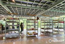 Ilog Maria Honeybee Farm景点图片