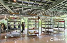 Ilog Maria Honeybee Farm-锡朗