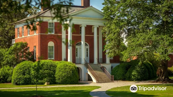 Robert Mills House and Gardens