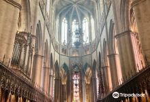 Cathedrale Notre Dame de Rodez景点图片