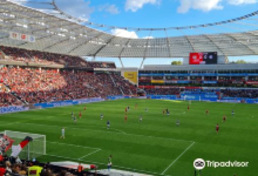 拜耳球场景点图片