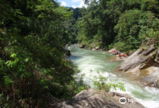 Jungle Lodge Malaysia景点图片