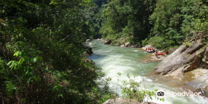 Jungle Lodge Malaysia