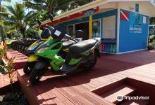 Adventure Cook Islands购物图片