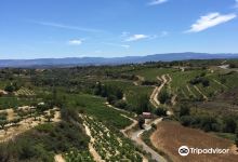 Bodegas Vina Laguardia S L景点图片