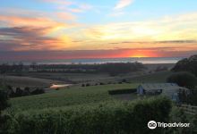 Cape Bernier Vineyard景点图片