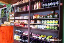 Vinhos Irmaos Juliatto景点图片