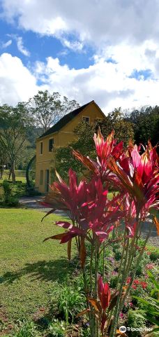 Parque Historico Jorge Kuhn-皮卡达卡夫