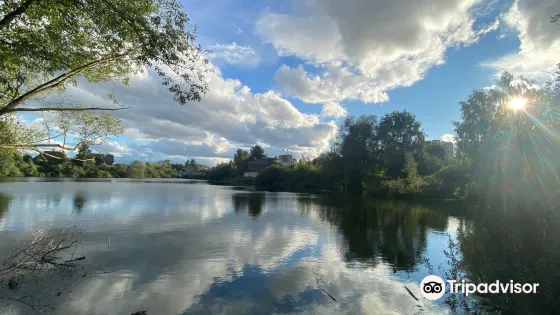 Alekseyevskiy Pond