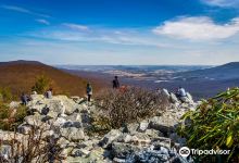 Hawk Mountain Sanctuary景点图片