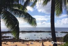 North Shore Surf Shop购物图片