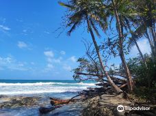 Playa Cocles-Talamanca