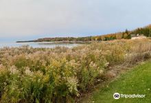 Egg Harbor Beach景点图片