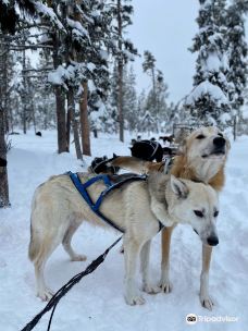Arctic Dogsled Adventure AB-基律纳市
