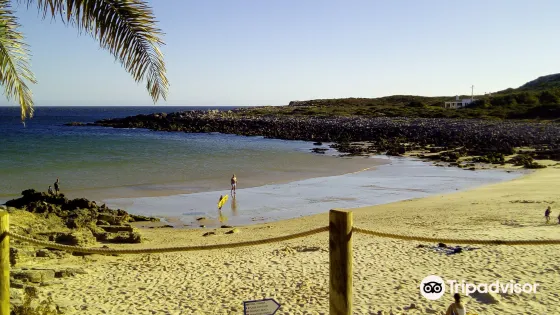 Praia da Ingrina