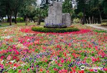 林投海滩景点图片