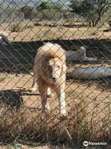 Predator World-Bojanala