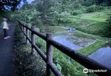 Tsukiyono Hotaru no Sato Promenade景点图片