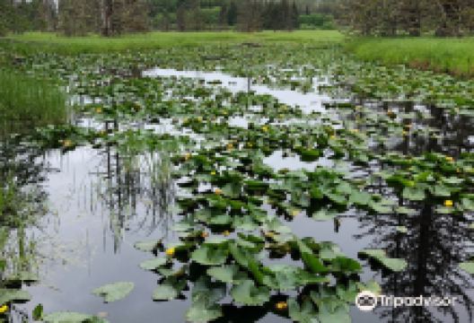 Point Bridget State Park景点图片