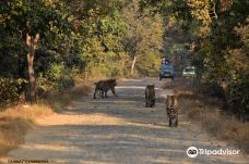 Umred Karhandla Wildlife Sanctuary-那格浦尔