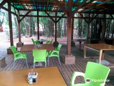 约翰内斯堡植物园-兰德堡