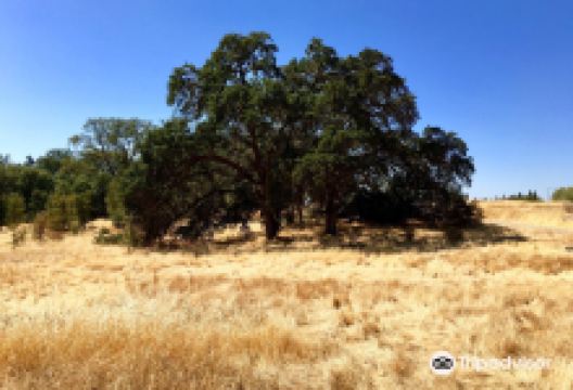 Maidu Museum & Historic Site景点图片