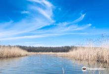 İğneada Floodplain Forests National Park景点图片