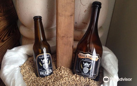Birrificio Plotegher