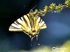 Casa delle Farfalle-米兰马瑞提那