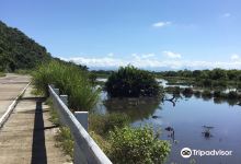 Timako Hill景点图片