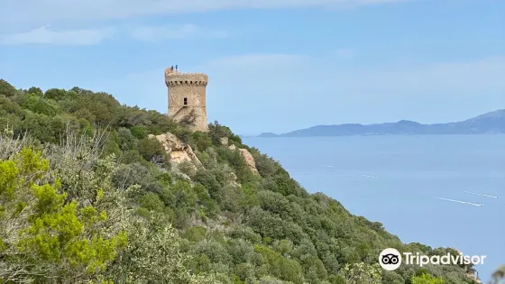 Tour de Capo Di Muro