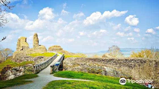 Montgomery Castle