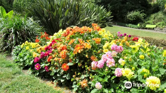 Botanical Gardens