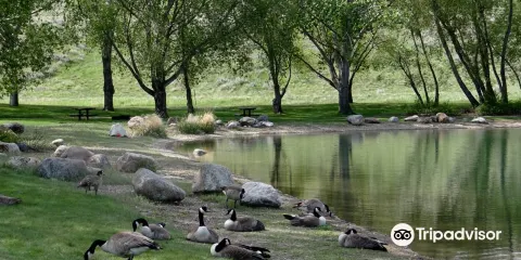Echodale Regional Park