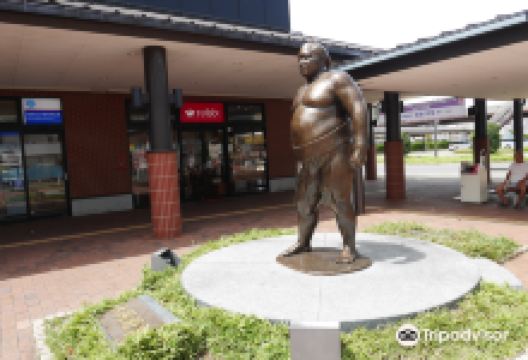 大関魁皇 像景点图片