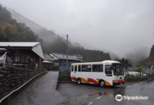 Sasao Sea of Clouds景点图片